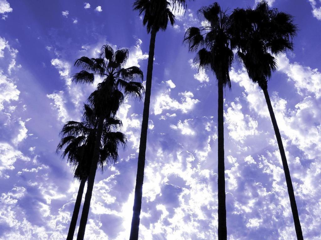 Parker Palm Springs Hotel Luaran gambar